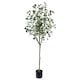 image 1 of 180cm Eucalyptus Realistic Artificial Tree Green