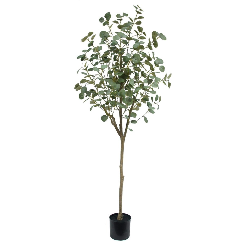 image 1 of 180cm Eucalyptus Realistic Artificial Tree Green