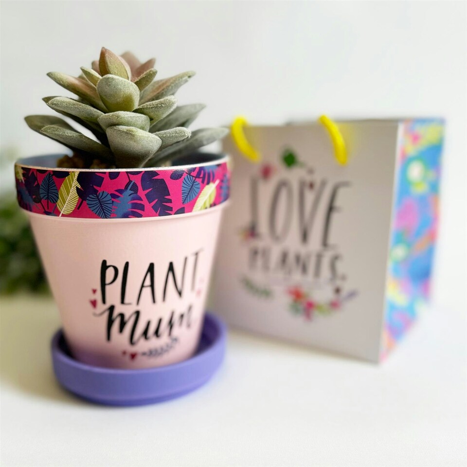 Love Plants Pot Ceramic Growing Garden Plant Mum N/A