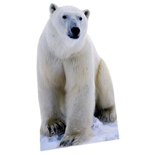 Polar Bear Lifesize Cardboard Cutout - 176cm
