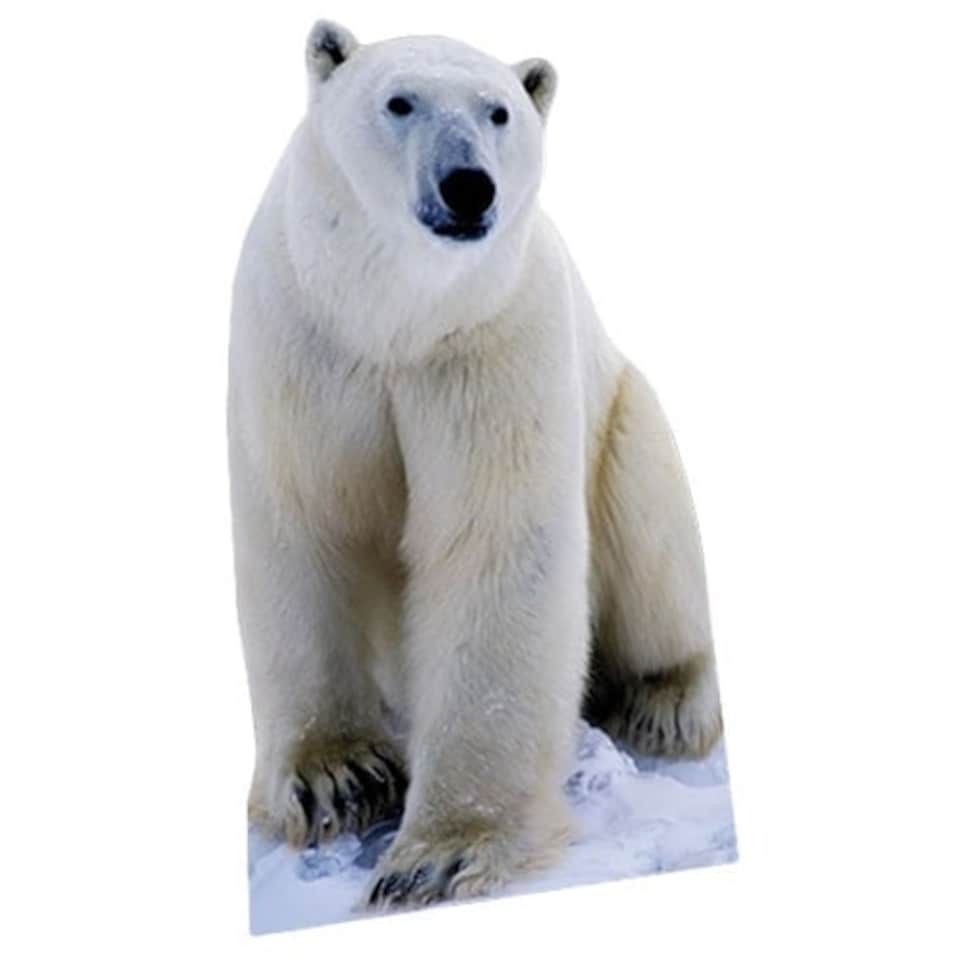 Polar Bear Lifesize Cardboard Cutout - 176cm