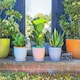 image 6 of Nicola Spring Hand-Printed Plant Pot with Saucer - 20.5cm - Orange