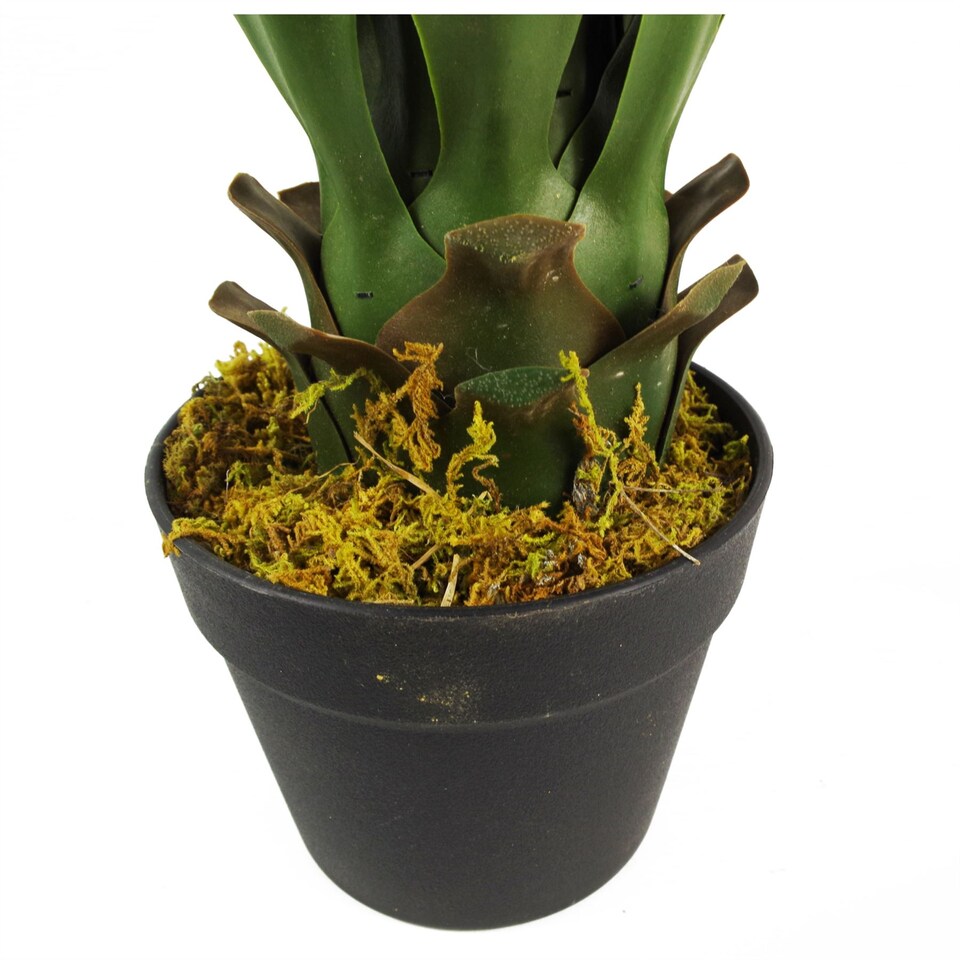 image 1 of 55cm Artificial Tropical Yucca Plant | Green | One Size