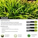 image 2 of Pegdev Transform Your Lawn PDL Fast Growing Grass Seed (5kg)