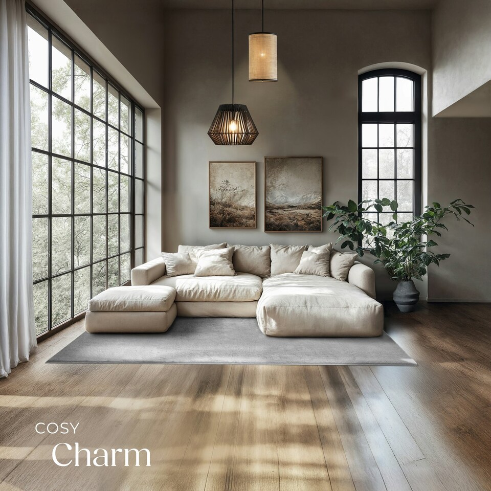 image 1 of Rug Zonelle - short pile and ultra-soft, rectangular or round Grey | Grey | 140 x 200 cm