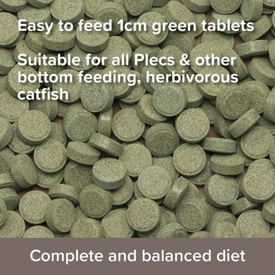 image 1 of King British Plecostomus Tablets - 50g x 6