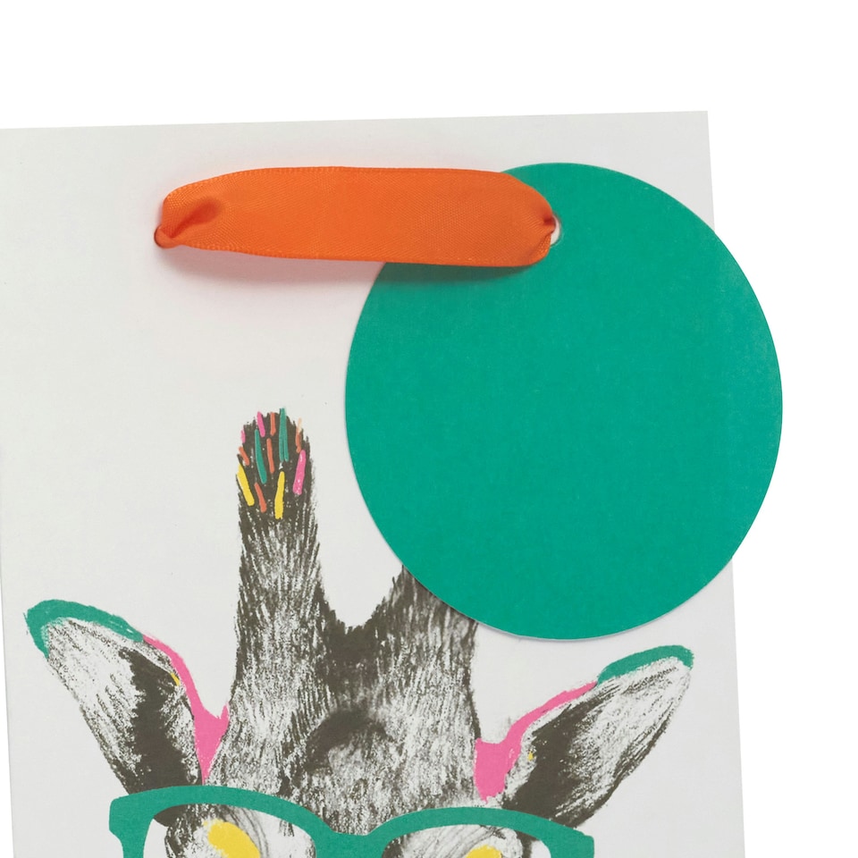 image 1 of Bright Giraffe Bottle Gift Bag - Pack of 3