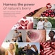 image 3 of Nutravita Max Strength Cranberry 37,500mg - Daily Supplement for Women - 50:1 Pure Cranberry Extract Supplement - Made in The UK - 180 Vegan Capsules