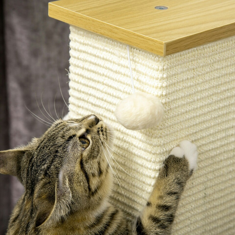 image 1 of PawHut Cat Scratch Post 80cm Tall, with Sisal Hanging Ball Toy, Oak Beige
