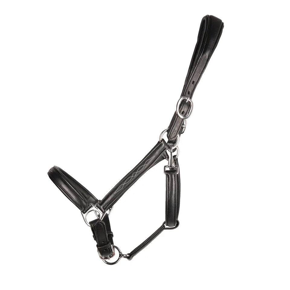 image 1 of Hy ProPresicce Leather Horse Headcollar | Black | Black/Silver | One Size | 1