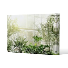 Green plants in botanical gardens (Canvas Print) 101 x 77 x 4cm