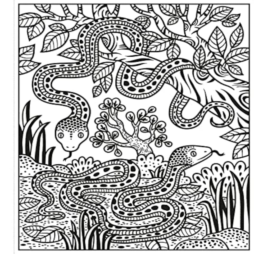 image 1 of Magic Painting Zoo - 18D Kids Activity & Sticker - PAPERBACK - 9781474948524 N/A | One Size
