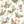 Cream/Multicoloured