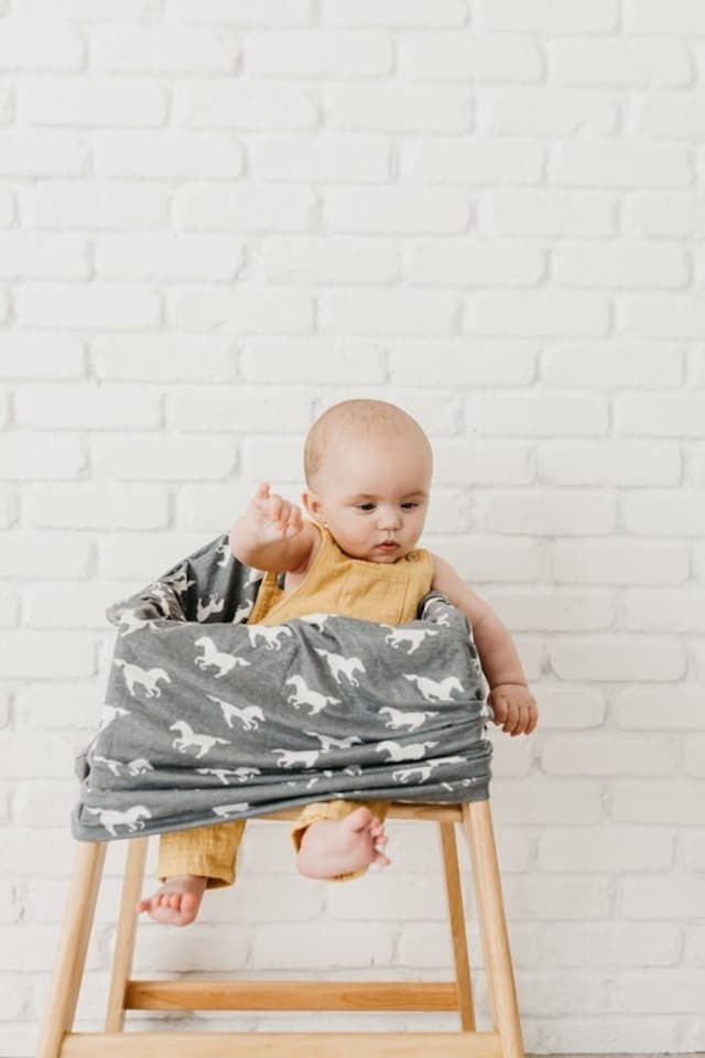 image 1 of Copper Pearl Nursing & Car Seat Cover Colt