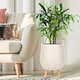 image 10 of Plaited Style Beige Planter with Legs, Round Indoor Plant Pot Stand for Indoor Plants by Idealist Lite D30 H43 cm, 19L