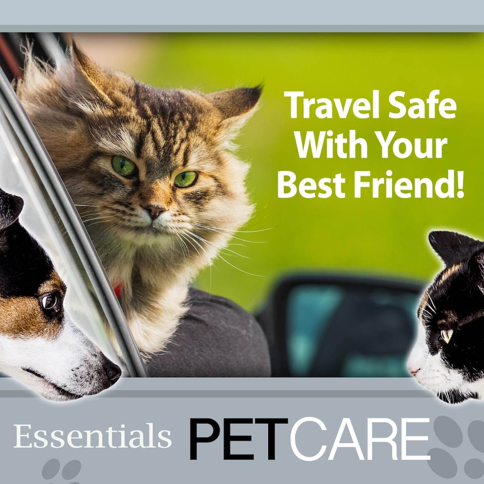 image 1 of Crufts Universal Pet Seat Belt Travel Restraint - 3 Buckle Types