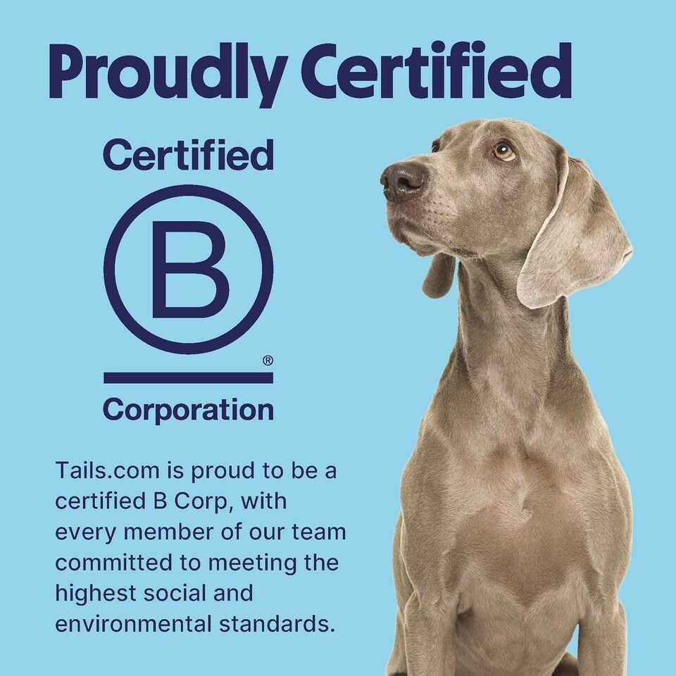 image 1 of Tails.com Inner Vitality Wet Dog Food Can Mature Chicken 6 x 400g