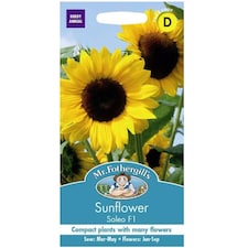 Fothergills Premium Sunflower Seeds - Soleo F1