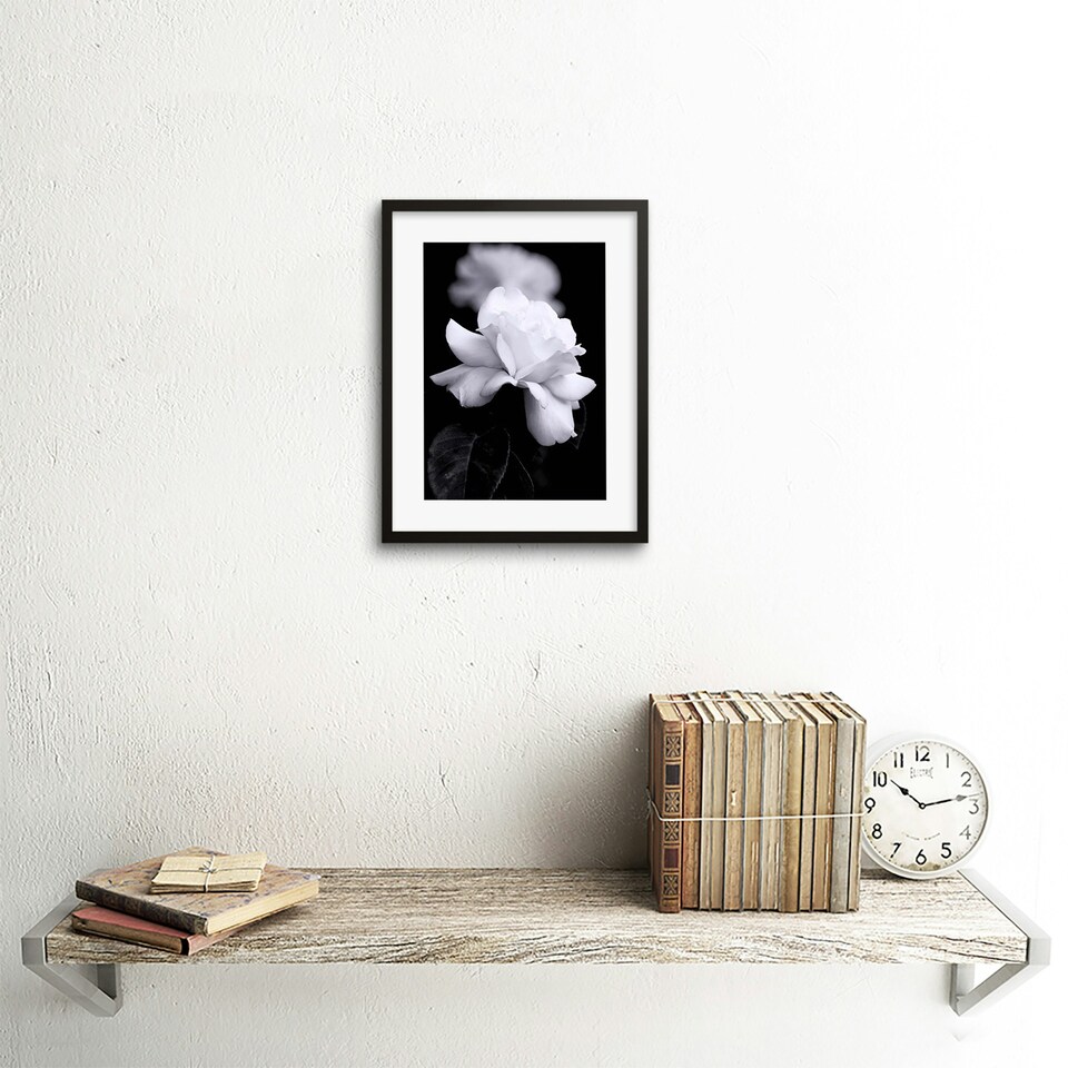 image 1 of Photo Nature Black White Rose Petal Flower 9x7" Black Framed Wall Art Print