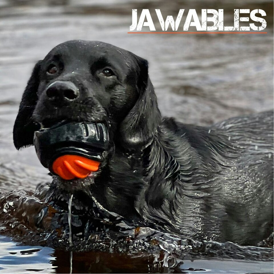 image 1 of Jawables Extreme Tough Dog Toys Ball with Squeaker
