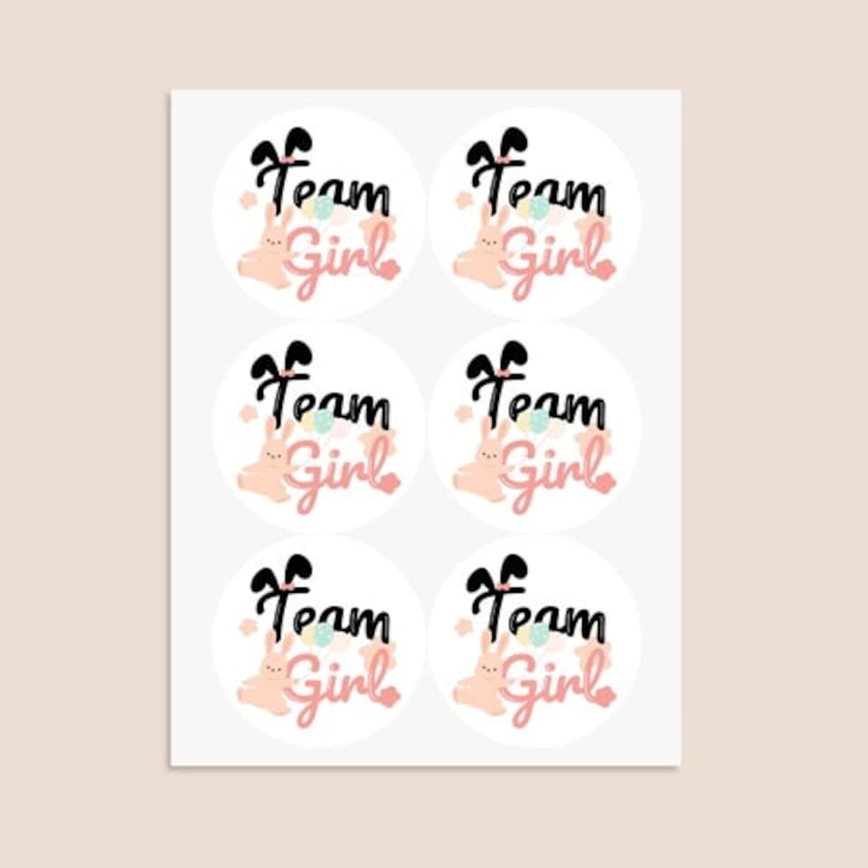 image 1 of Team Girl Bunny Gender Reveal Round Stickers 88mm - Sheet of 6