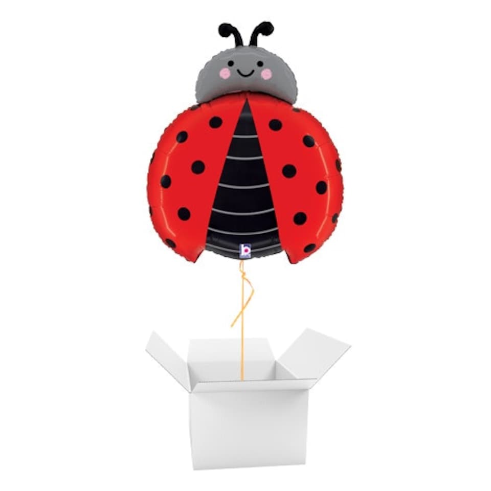 Ladybird Bug Giant Foil Helium Balloon - Inflated Balloon in a Box