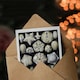 image 3 of Ernst Haeckel Art Card Blastoid Sea Buds Urchins