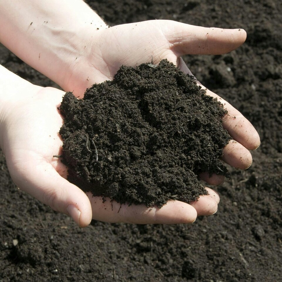 image 1 of Bulk Dumpy Bag Premium Potting Top Soil Compost