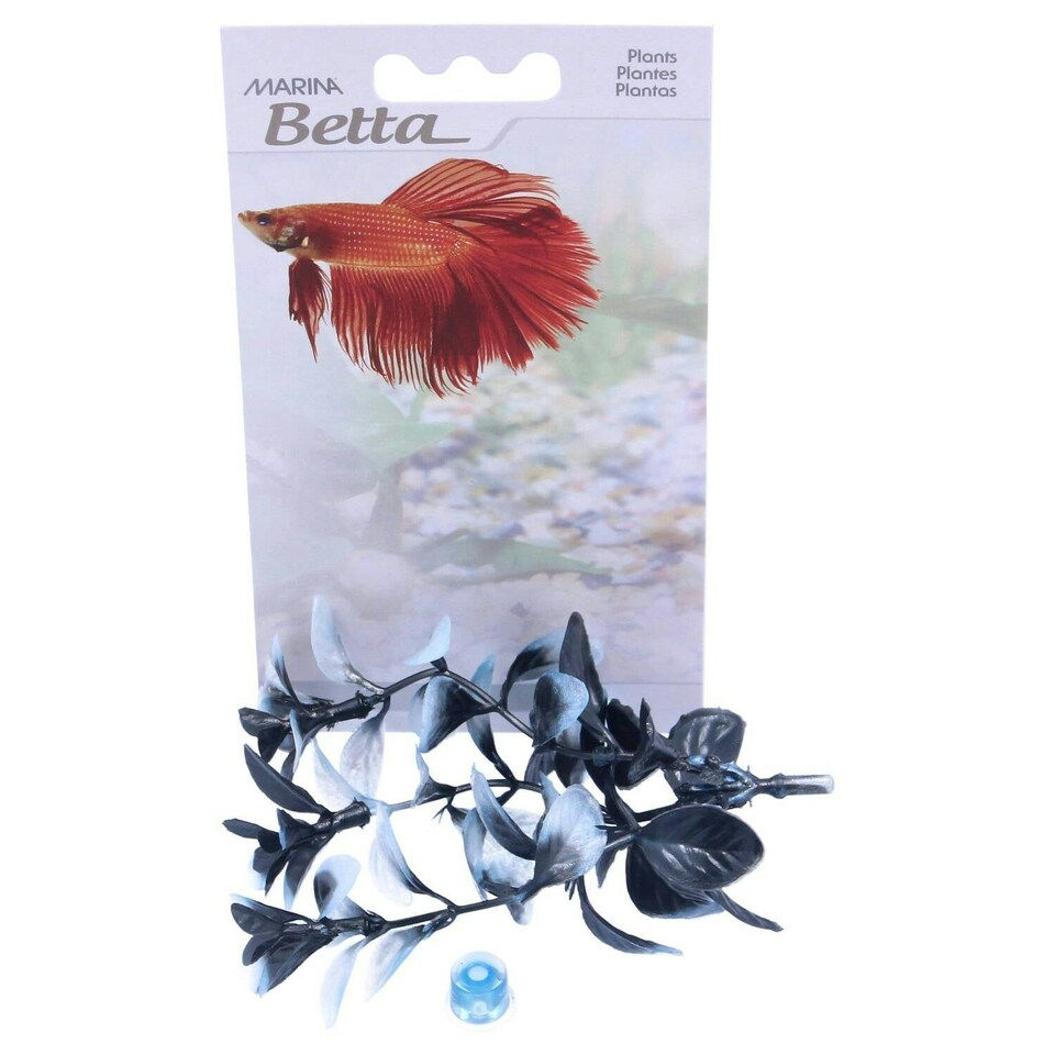 image 1 of Marina Betta Plant Red Ludwiga 12.7cm