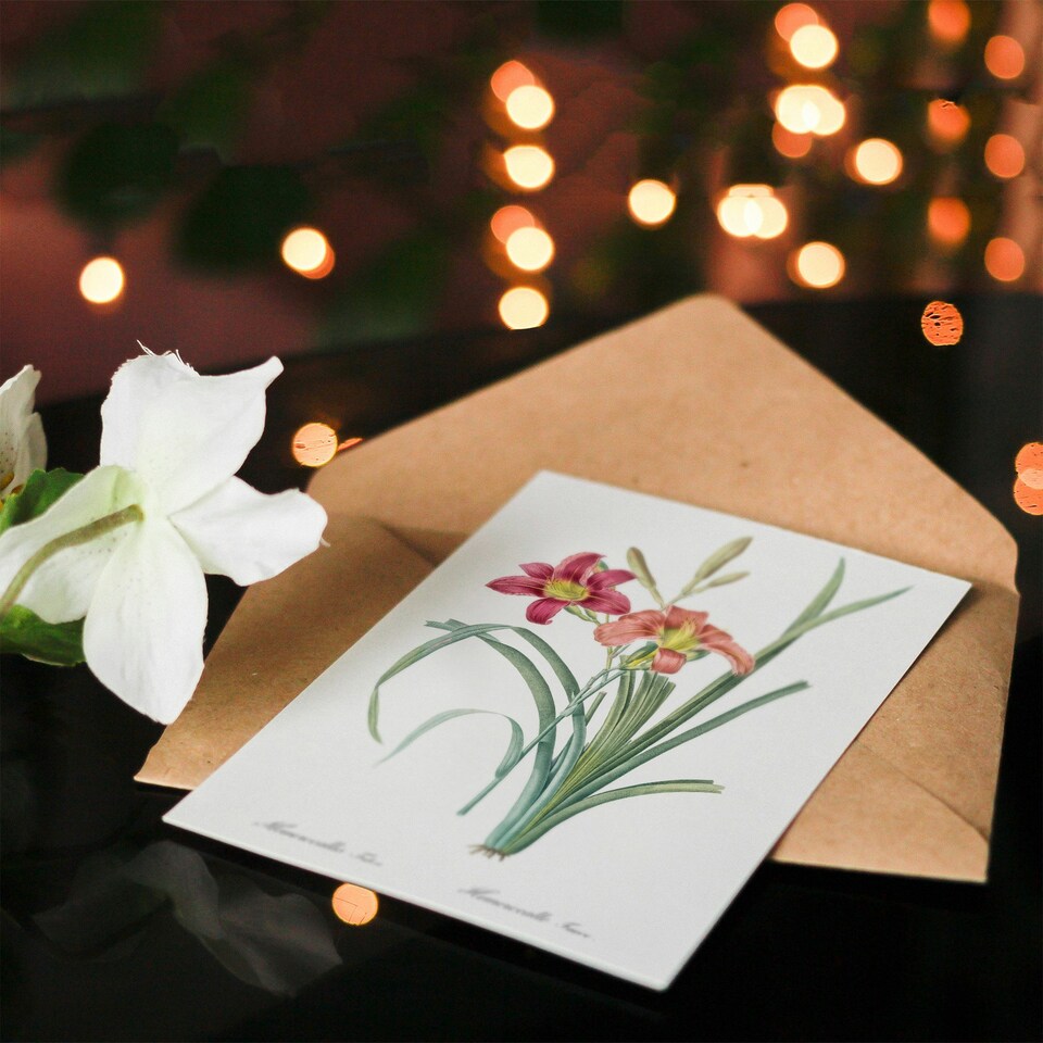 image 1 of Pierre-Joseph Redouté Art Card Orange Day Lily Vintage Floral