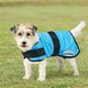 image 2 of Weatherbeeta Therapy-Tec Dog Cooling Coat - Blue - 60cm