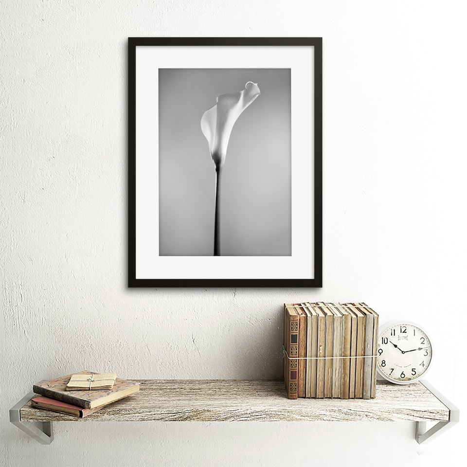 image 1 of Flower Black And White Calla Lily Home Decor 12x16" Framed Wall Art Print