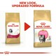 image 3 of Royal Canin Cat Persian Kitten 4KG