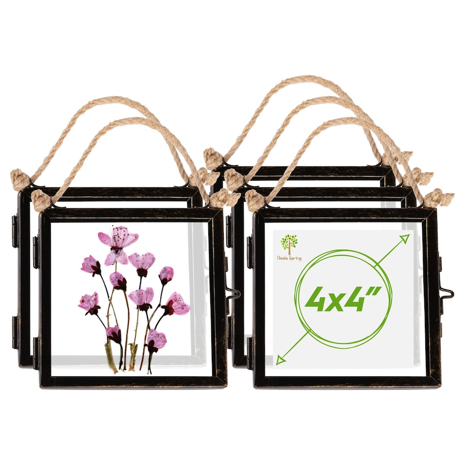 image 1 of Nicola Spring Hanging Metal Photo Frames - 4" x 4" - Black - Pack of 5 | Black | Black | One Size