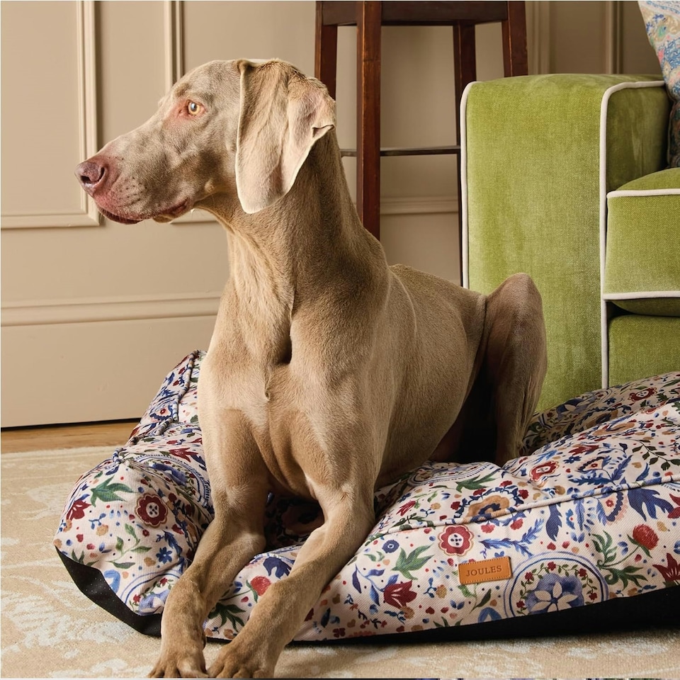 image 1 of Rosewood Joules Festival Floral Dog Mattress Bed | Multi | M | 1