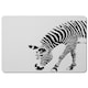 image 2 of Zebra (Placemat)