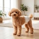 image 2 of PawHut Dog Diapers Super Absorbent for Male Dogs Size S