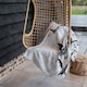 image 4 of Surfers Blanket | Multi