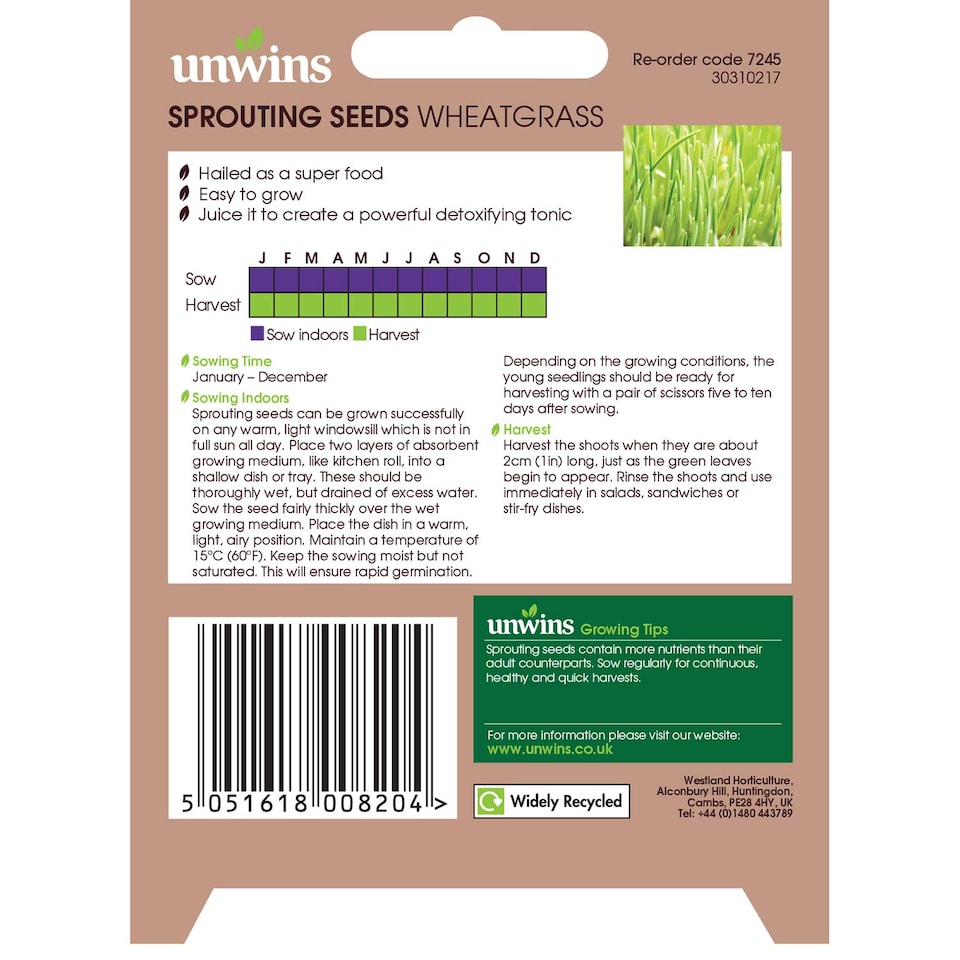 image 1 of Unwins Wheatgrass Seeds (Sprouting) 400 Seeds