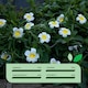 image 5 of Gardenwize 2m Solar Flower LED String Lights Outdoor
