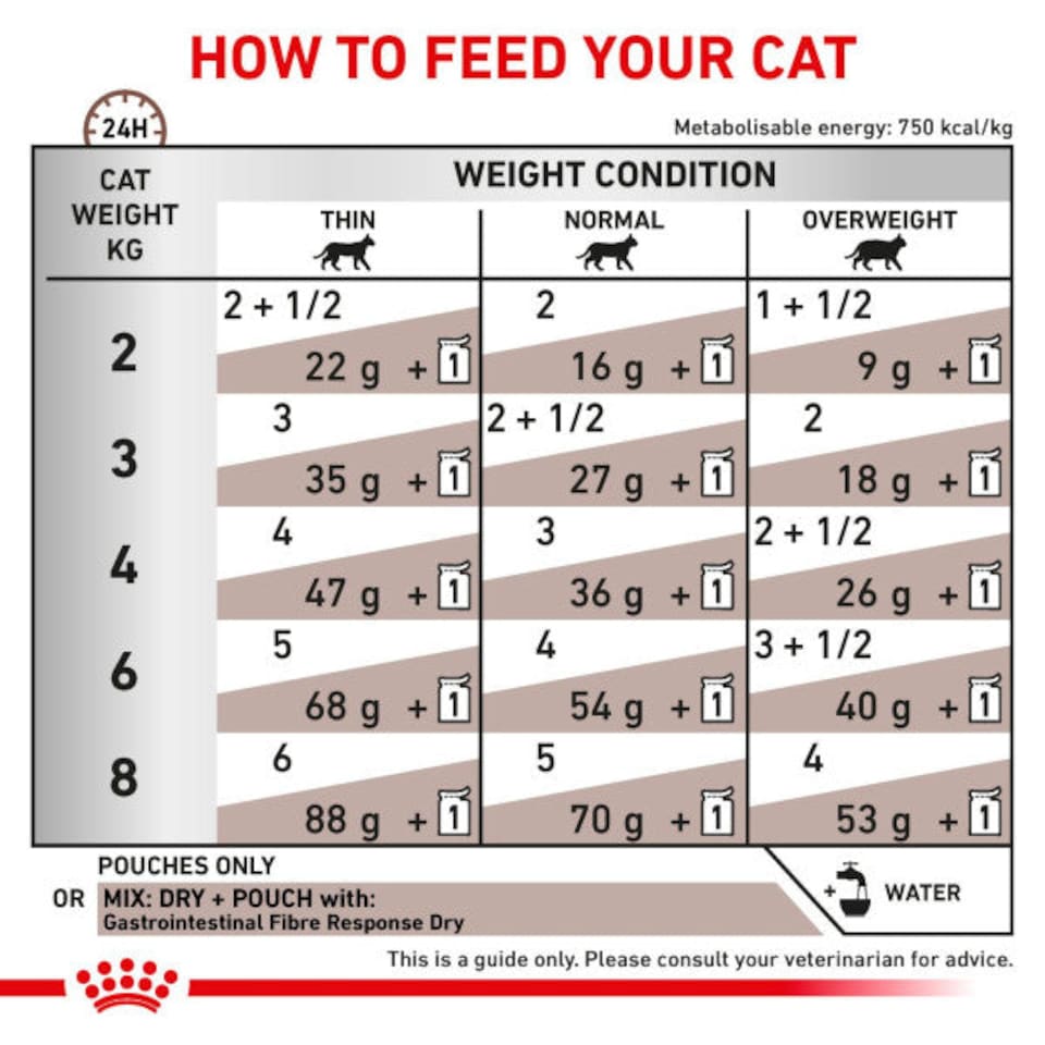 image 1 of Royal Canin Sterilised Adult Wet Cat Food in Jelly - 48 x 85 g (4 kg) | Multi | 48 x 85g | 1