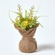 image 4 of Homescapes Set of 3 Pink, Purple & Yellow Artificial Daisies in Rustic Burlap Pots