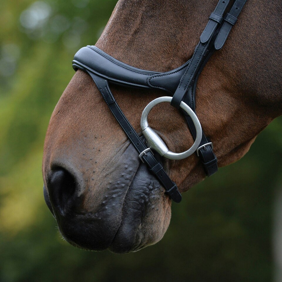 image 1 of Collegiate Comfitec Vogue Leather Horse Bridle - Black - Cob