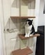 image 4 of Cat Door Climber Scratching Post Platforms Hanger Multi Level Scratcher Scratch