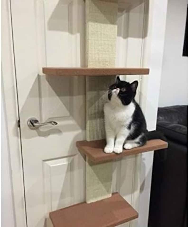 image 1 of Cat Door Climber Scratching Post Platforms Hanger Multi Level Scratcher Scratch