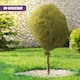 image 2 of GEEZY Cover For Plants Protective Fleece Green 1 Pack