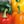 Red, Yellow, Green