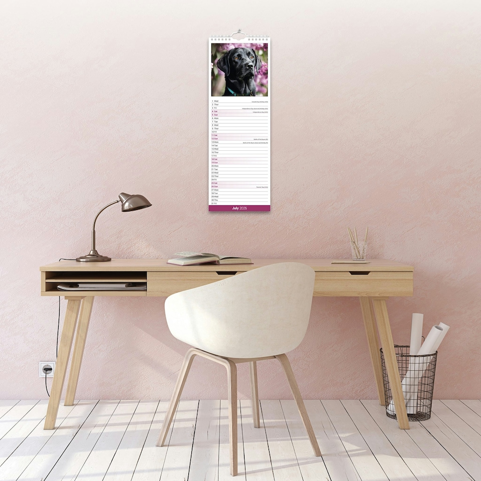 image 1 of Black Labrador Retriever Slim 2026 Calendar | Slimline Wall Calendar | Dog Breed Gift | Plastic Free Packaging | Avonside Publishing Ltd