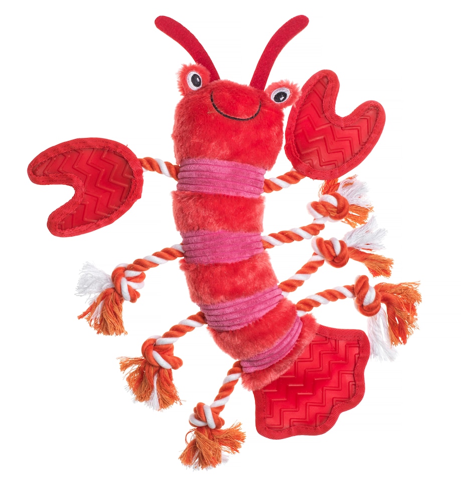 Under The Sea Lobster