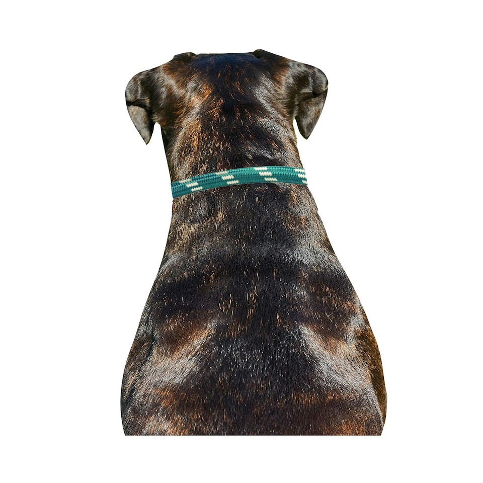 image 1 of Weatherbeeta Rope Leather Dog Collar - Hunter Green/Brown - L